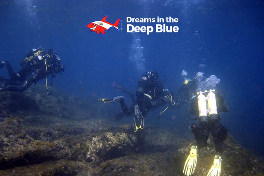 Immersione ad Isola delle Femmine - Dreams in the Deep Blue